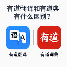 2026年有道翻译词典的“语音翻译”支持长语音吗?