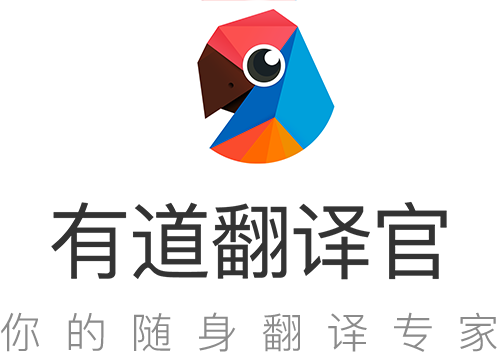 如何在有道翻译词典中查看过敏原的英文警示？